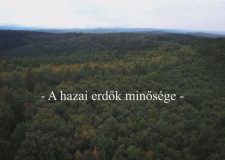 M5 TV – Nemzeti Kincsünk az Erdő – A hazai erdők minősége – 2022/13. adás – 2022.03.26.