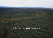M5 TV – Nemzeti Kincsünk az Erdő – Erdei tanösvények – 2022/22. adás – 2022.05.28.