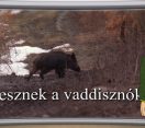 M5 TV – Erdő Ernő bácsi meséi – Mit esznek a vaddisznók? – 2022/25. adás – 2022.06.18.