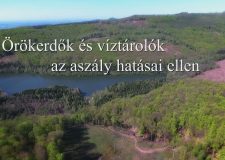 M5 TV – Nemzeti Kincsünk az Erdő – Aszály, nyári szárazság – 2022/35. adás – 2022.08.27.