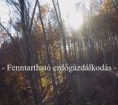 M5 TV – Nemzeti Kincsünk az Erdő – Fenntartható erdőgazdálkodás – 2023/04. adás – 2023.01.29.