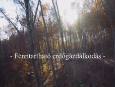 M5 TV – Nemzeti Kincsünk az Erdő – Fenntartható erdőgazdálkodás – 2023/04. adás – 2023.01.29.