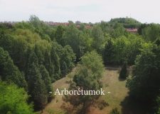 M5 TV – Nemzeti Kincsünk az Erdő – Arborétumok – 2023/07. adás – 2023.02.19.