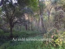 M5 TV – Nemzeti Kincsünk az Erdő – Az erdő természetessége – 2023/21. adás – 2023.05.28.