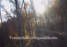 M5 TV – Nemzeti Kincsünk az Erdő – Fenntartható erdőgazdálkodás – 2024/12. adás – 2024.03.24.