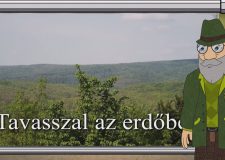 M5 TV – Erdő Ernő bácsi meséi – Tavasszal az erdőben – 2024/15. adás – 2024.04.14.