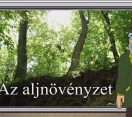 M5 TV – Erdő Ernő bácsi meséi – Az aljnövényzet – 2025/15. adás – 2025.04.13.