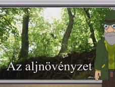 M5 TV – Erdő Ernő bácsi meséi – Az aljnövényzet – 2025/15. adás – 2025.04.13.