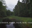 M5 TV – Nemzeti Kincsünk az Erdő – Erdei patakok, források, vízesések – 2025/15. adás – 2025.04.13.