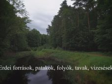 M5 TV – Nemzeti Kincsünk az Erdő – Erdei patakok, források, vízesések – 2025/15. adás – 2025.04.13.