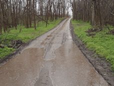 M5 TV – Téli csapadékhiány, legyengült tavaszi erdő – 2025/15. adás – 2025.04.13.
