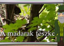 M5 TV – Erdő Ernő bácsi meséi – A madarak fészke – 2025/20. adás – 2025.05.18.