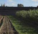 M5 TV – Csemetekerttel a növényi génmegőrzésért – 2025/20. adás – 2025.05.18.