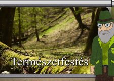 M5 TV – Erdő Ernő bácsi meséi – A természetfestés – 2025/19. adás – 2025.05.11.