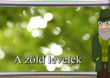 M5 TV – Erdő Ernő bácsi meséi – A zöld levelek – 2025/24. adás – 2025.06.15.