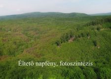 M5 TV – Nemzeti Kincsünk az Erdő – Éltető napfény, fotoszintézis – 2025/26. adás – 2025.06.29.