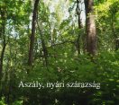 M5 TV – Nemzeti Kincsünk az Erdő – Aszály, nyári szárazság – 2025/28. adás – 2025.07.13.