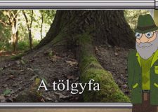 M5 TV – Erdő Ernő bácsi meséi – A tölgyfa – 2025/32. adás – 2025.08.10.