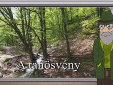M5 TV – Erdő Ernő bácsi meséi – A tanösvény – 2025/37. adás – 2025.09.14.