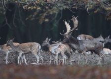 M5 TV – Erdei utakon – 2025/43. adás – 2025.10.26.