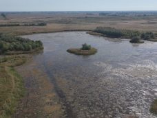 M5 TV – Ősidők maradványa: a Kolon-tó – 2025/44. adás – 2025.11.02.