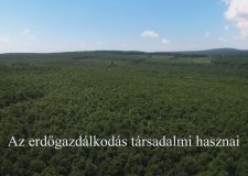 M5 TV – Nemzeti Kincsünk az Erdő – Az erdőgazdálkodás társadalmi hasznai – 2025/46. adás – 2025.11.16.