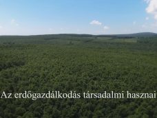 M5 TV – Nemzeti Kincsünk az Erdő – Az erdőgazdálkodás társadalmi hasznai – 2025/46. adás – 2025.11.16.