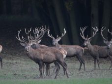 M5 TV – Vadvilág – Téli felkészülés – 2025/46. adás – 2025.11.16.