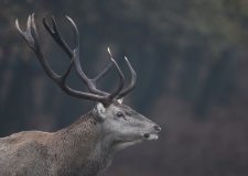 M5 TV – Erdei utakon – 2025/46. adás – 2025.11.16.