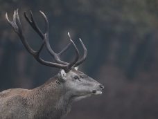 M5 TV – Erdei utakon – 2025/46. adás – 2025.11.16.