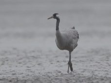 M5 TV – Erdei utakon – Ajánló – 2025/47. adás – 2025.11.23. vasárnap 16:35