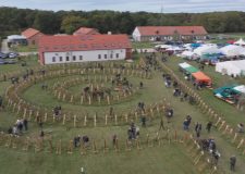 M5 TV – Erdei utakon – Ajánló – 2025/45. adás – 2025.11.09. vasárnap 16:35