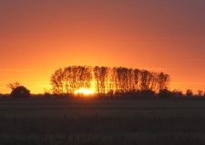 M5 TV – Erdei utakon – 2025/48. adás – 2025.11.30.