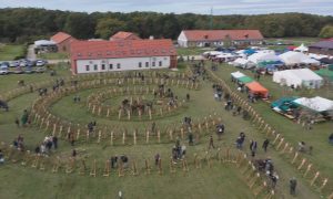 M5 TV – Erdei utakon – Ajánló – 2025/45. adás – 2025.11.09. vasárnap 16:35