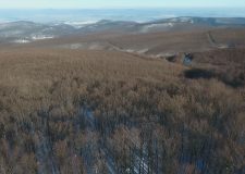 M5 TV – Nemzeti Kincsünk az Erdő – Téli munkák az erdőben – 2025/52. adás – 2025.12.28.