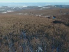 M5 TV – Nemzeti Kincsünk az Erdő – Téli munkák az erdőben – 2025/52. adás – 2025.12.28.