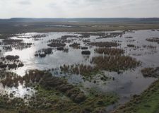 M5 TV – Szépapó-erdő és mocsárvilág Kis-Sárrét tájain – 2025/50. adás – 2025.12.14.