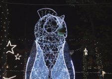 M5 TV – Vadaspark és fénypark Szolnokon – 2025/51. adás – 2025.12.21.