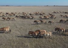 M5 TV – Erdei utakon – Ajánló – 2025/52. adás – 2025.12.28. vasárnap 16:35