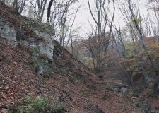 M5 TV – Sikeres fejlesztés a pilisi Holdvilág-árokban – 2025/49. adás – 2025.12.07.