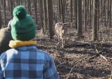 M5 TV – Állatok testközelben a Miklósvári Vadasparkban – 2025/52. adás – 2025.12.28.