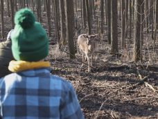 M5 TV – Állatok testközelben a Miklósvári Vadasparkban – 2025/52. adás – 2025.12.28.