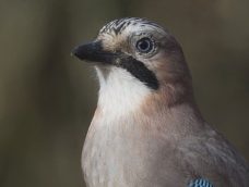 M5 TV – Erdei utakon – 2025/52. adás – 2025.12.28.