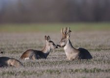 M5 TV – Erdei utakon – Ajánló – 2026/1. adás – 2026.01.04. vasárnap 16:45