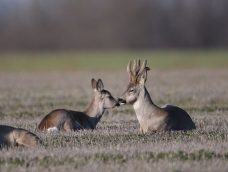M5 TV – Erdei utakon – Ajánló – 2026/1. adás – 2026.01.04. vasárnap 16:45