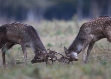 M5 TV – Erdei utakon – 2026/1. adás – 2026.01.04.