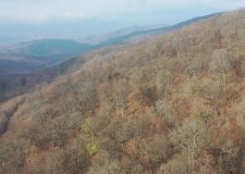 M5 TV – Erdőanya a Pilisben – az örökerdő-gazdálkodás alapjai – 2025/49. adás – 2025.12.07.