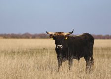 M5 TV – Erdei utakon – 2025/49. adás – 2025.12.07.