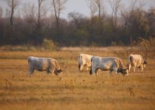 M5 TV – Erdei utakon – Ajánló – 2025/50. adás – 2025.12.14. vasárnap 16:40