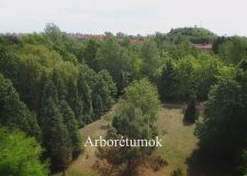 M5 TV – Nemzeti Kincsünk az Erdő – Arborétumok – 2026/5. adás – 2026.02.01.